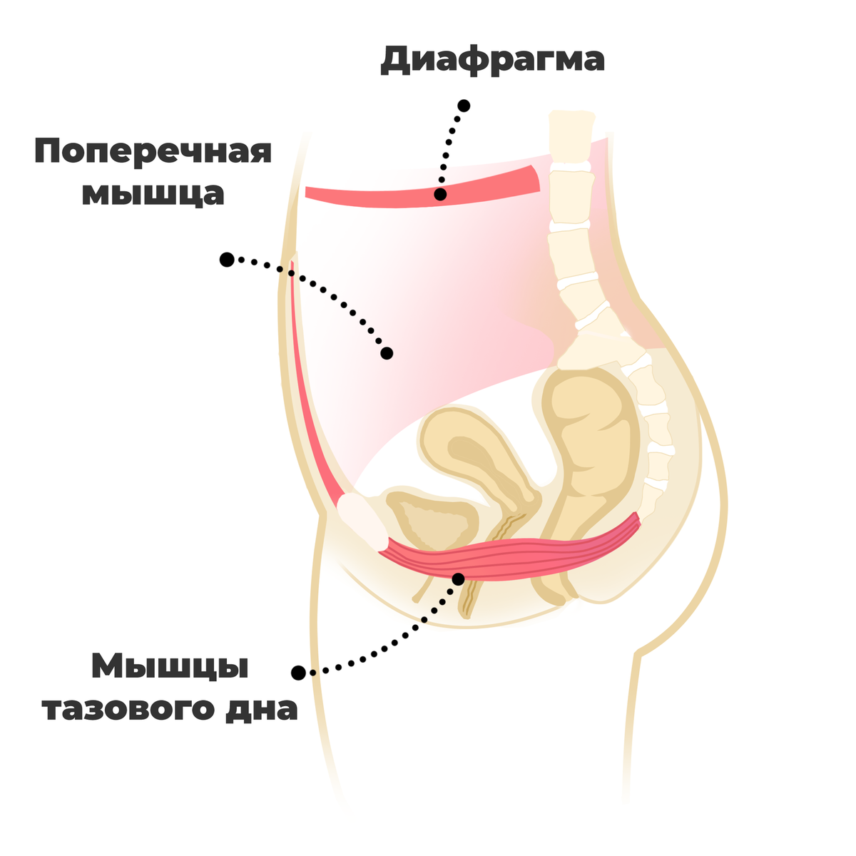 Деформация позвоночника