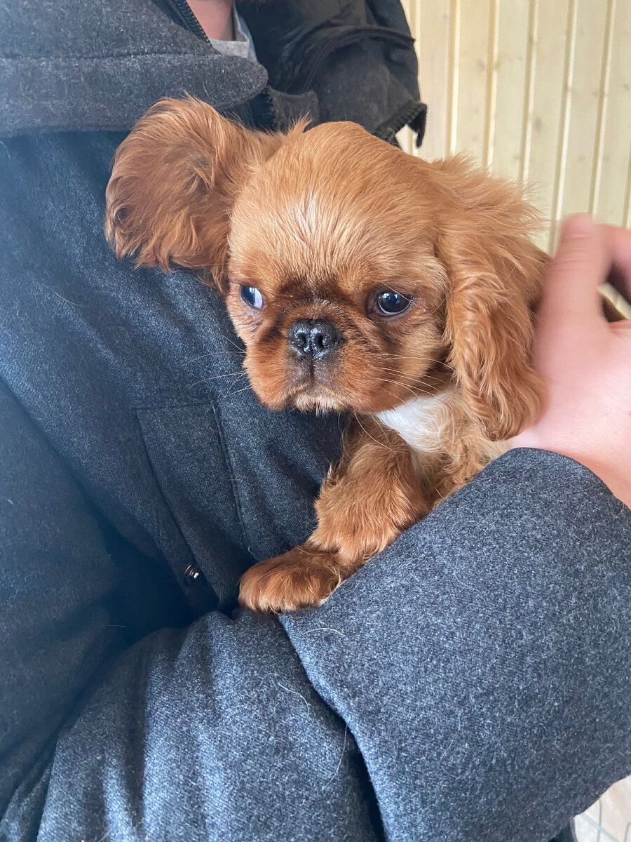 Самая первая встреча❤️