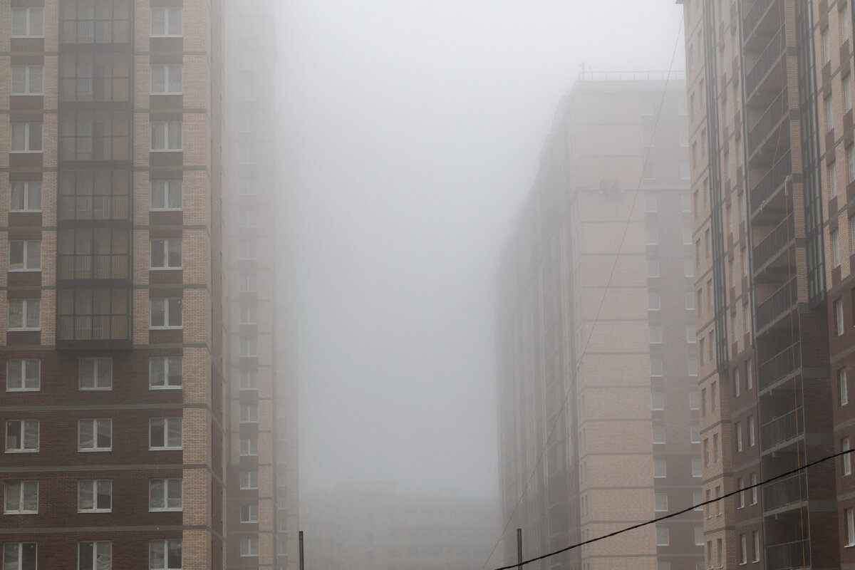 фото Дмитрия Щегельского телеграм-канал "Щегельский о недвижимости без сиропа"