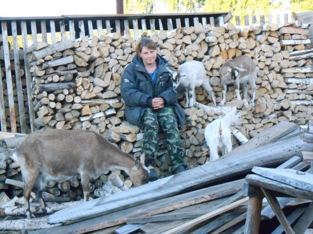 Настена перевозила дрова с одного места на другое. Эти козьи морды углядели в поленнице ступеньки и начали сигать через забор в огород. Пришлось скидывать ихнюю лесницу на землю. Утомилася, присела, все сразу ко мне подскочили, Настенка понеслась за фотиком. Вообще эти мартыхи куда тока не залазят. Если везешь тележку, моргнул, в тележке уже два козленка едут. Если ставишь ведро хрен знает на какую высоту, они один фиг до этого ведра доберутся. Хоть к небу подвязывай