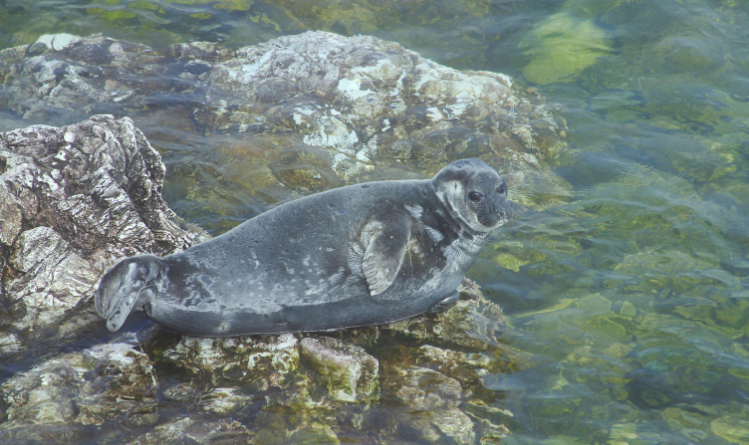 Фото: Alexandr Knyazev/Russian Look