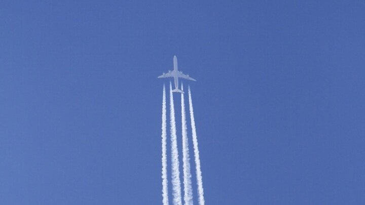 ФОТО: OLIVER BRANDT/IMAGEBROKER.COM/GLOBALLOOKPRESS