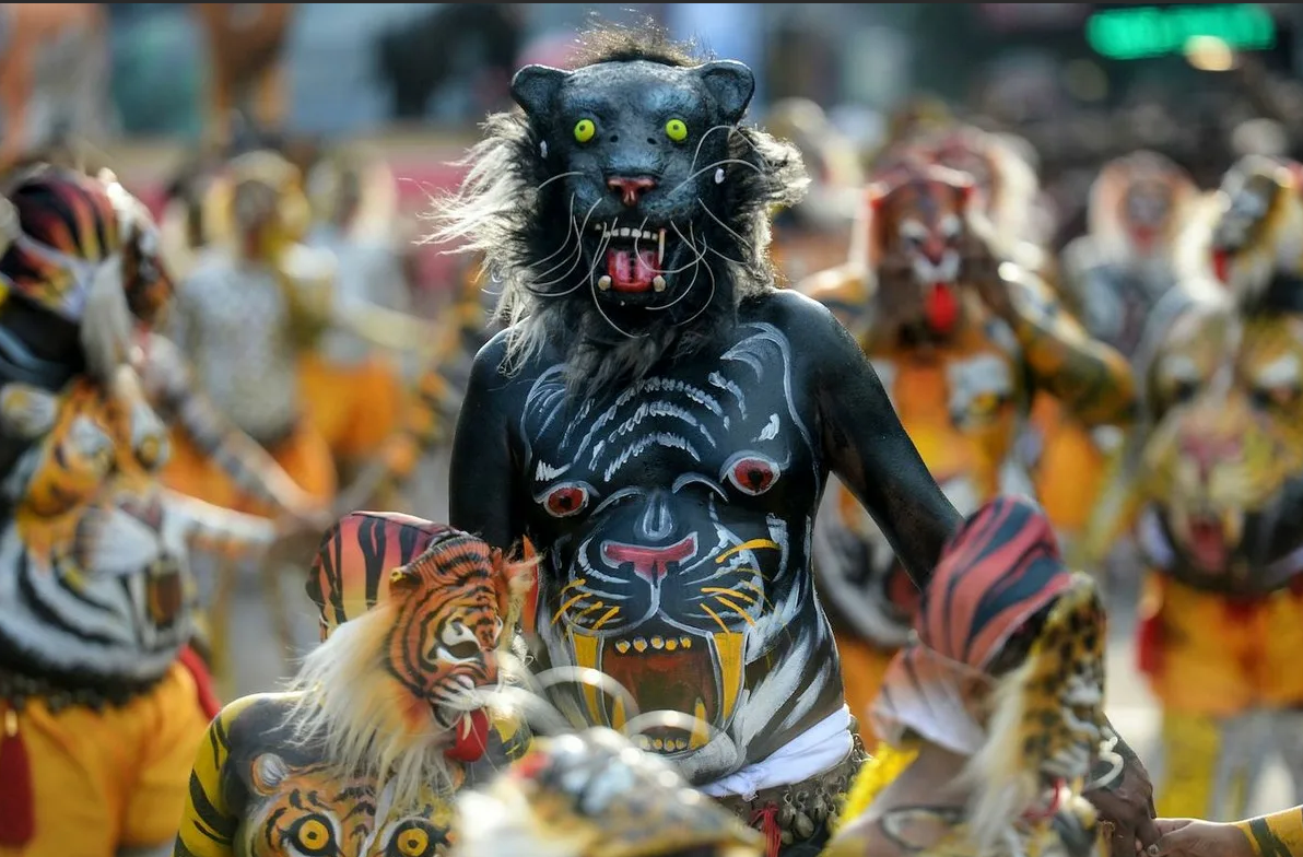 Какие усы! Какой взгляд. Это редкая порода - черный тигр, не спугните его (читать голосом Дроздова)