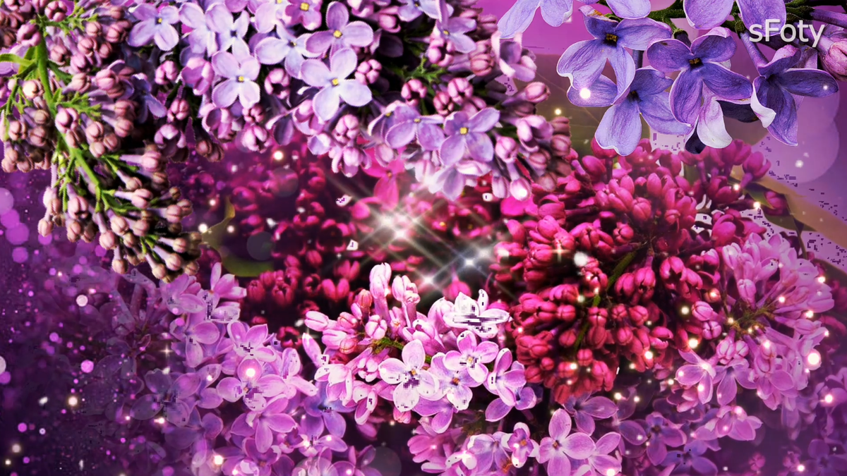 Автор фото коллажа sFoty