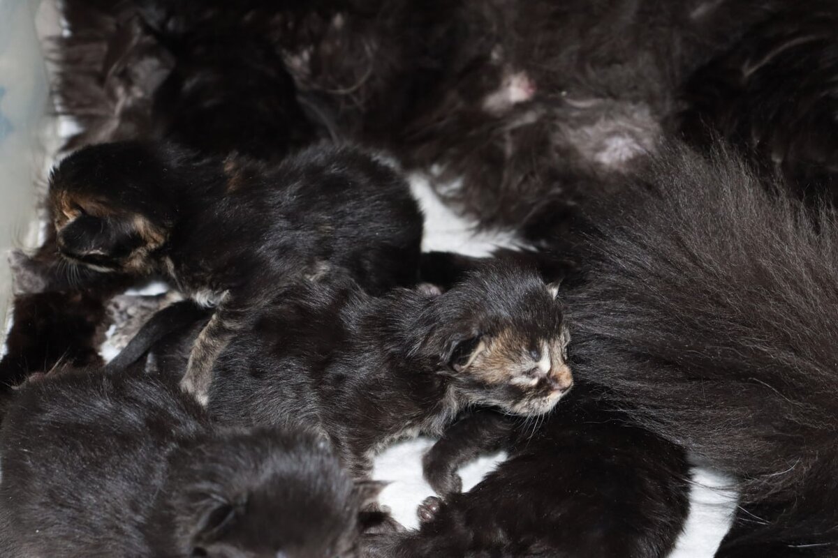 Фото из личного архива.