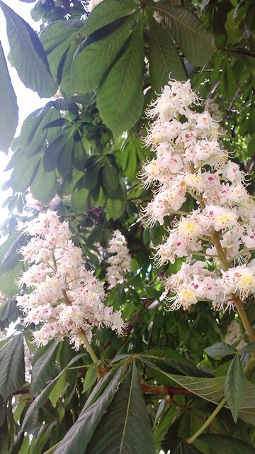 Авторское фото Татьяны Федотовой