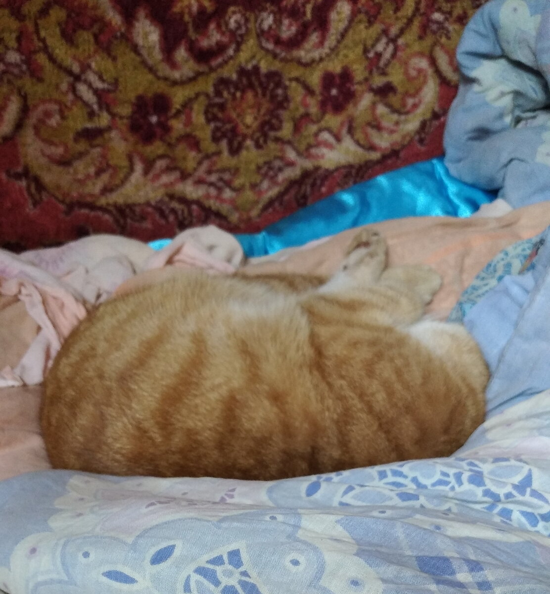 Личное  фото.