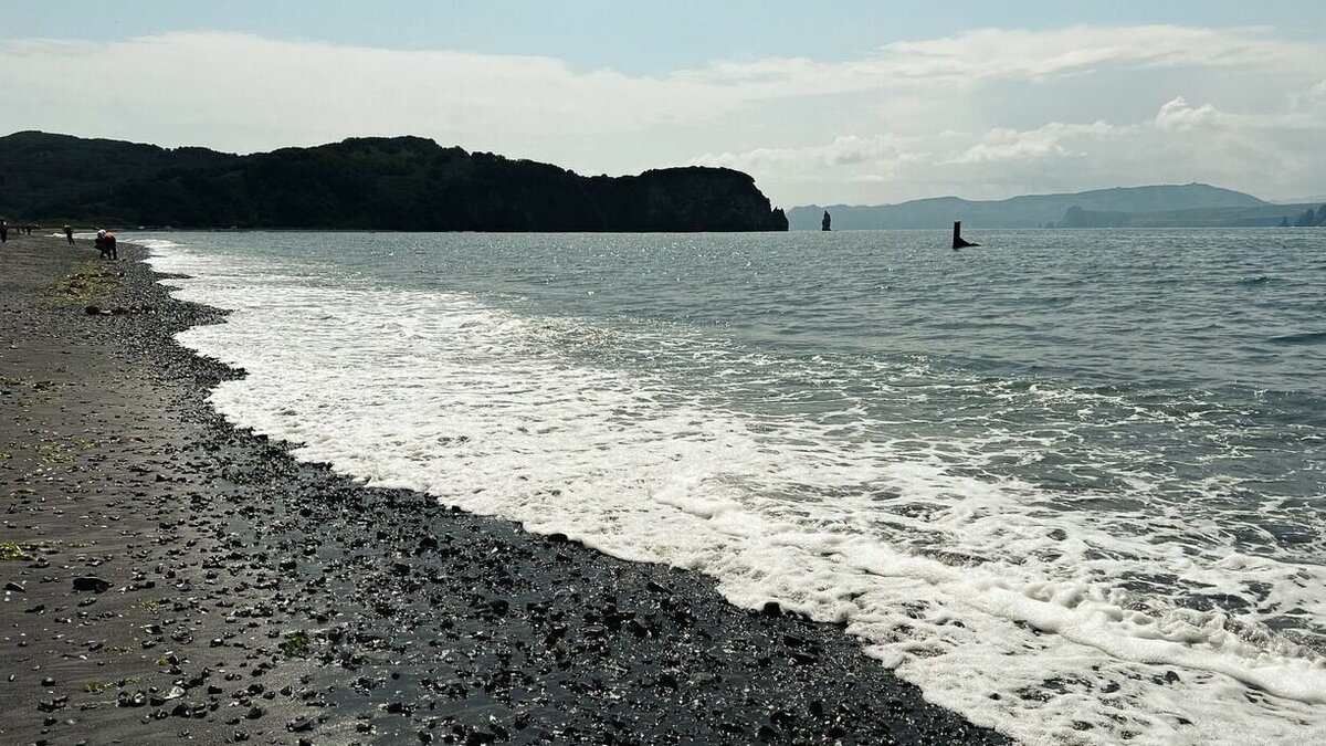     Рыбаки сняли на видео необычное для наших широт существо — ядовитую морскую змею. Рептилия уверенно пересекала волны.