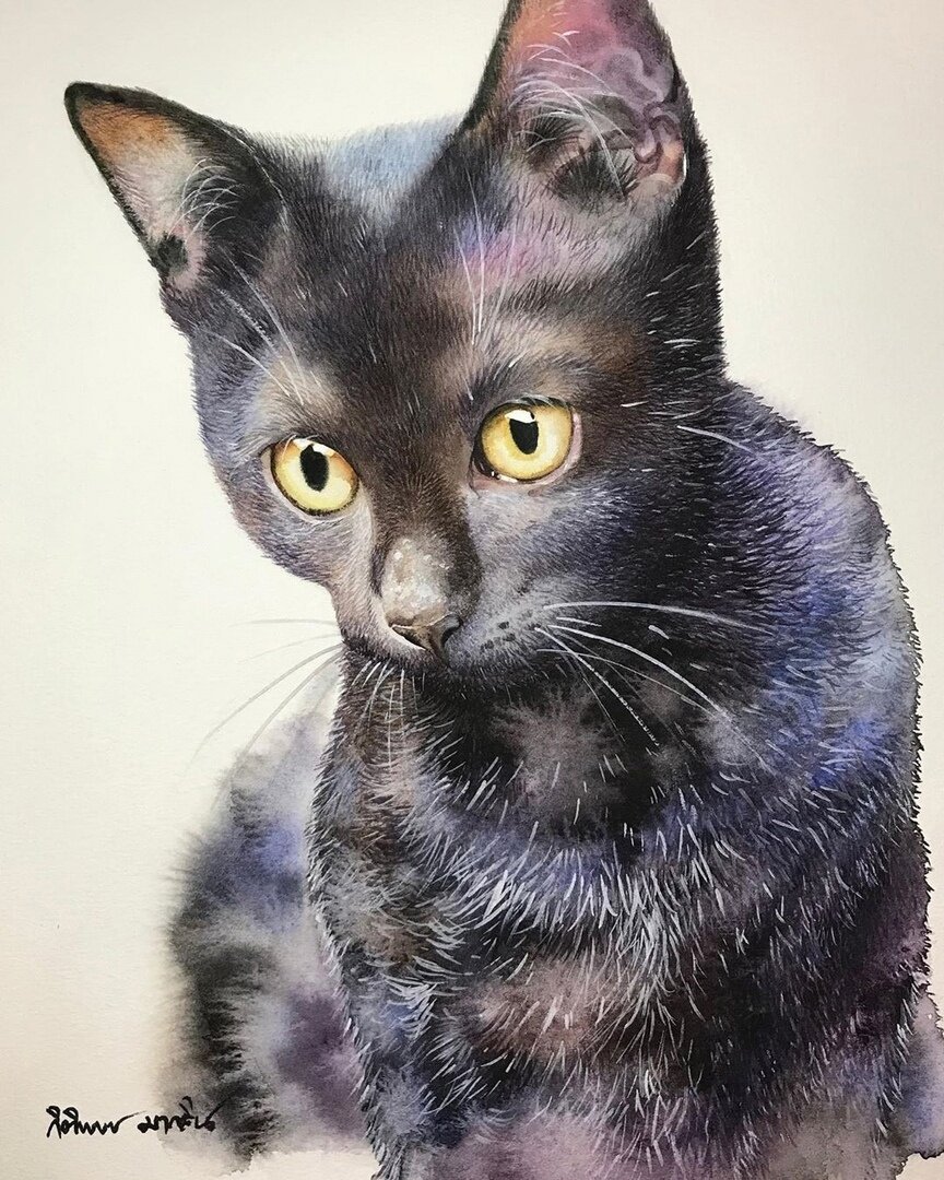 �������� Kitipong Ti