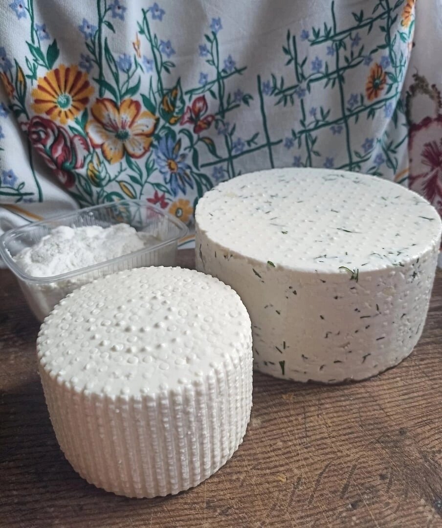 Брынза классическая, с укропом и чесноком. А в контейнере - рикотта. 