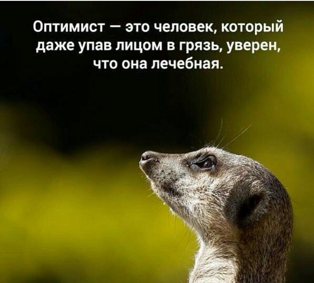 Фото из картинок yandex.ru