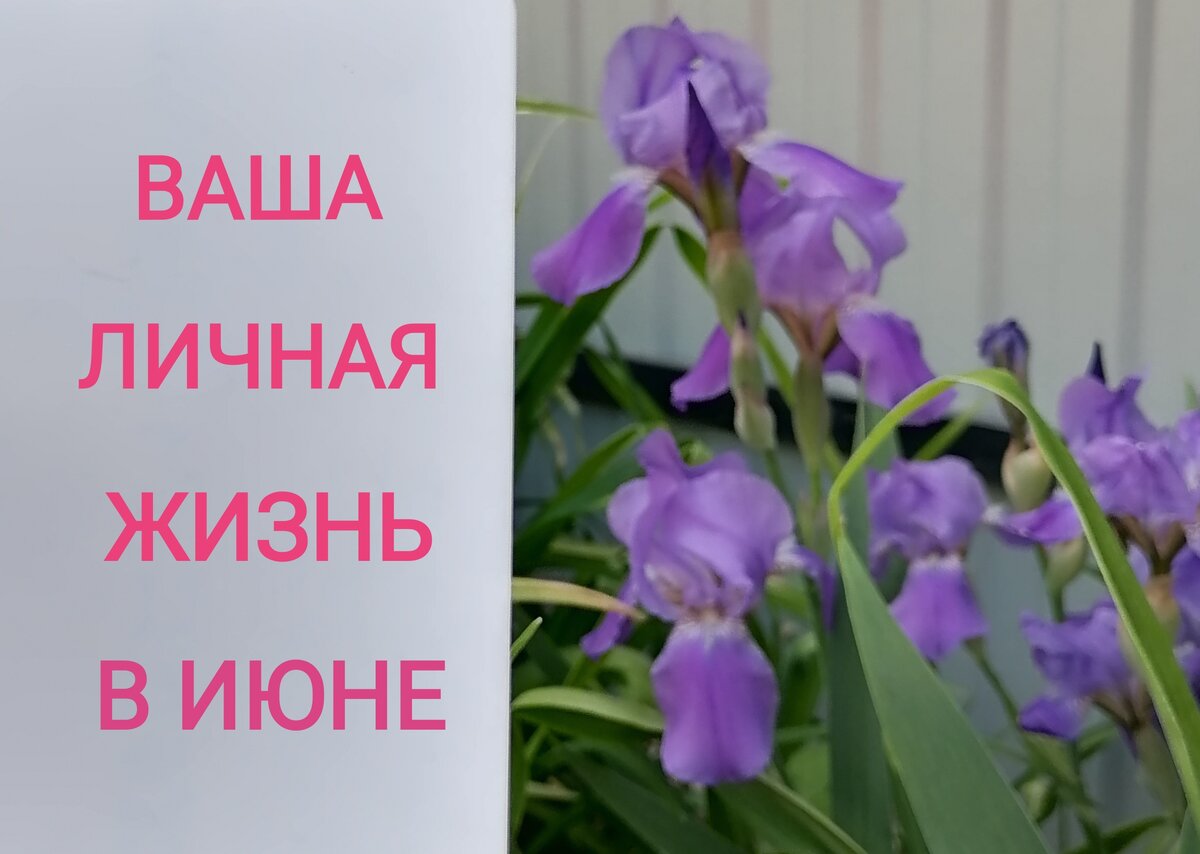 Актуально на момент вашего чтения публикации. Но помните, что не все расклады проигрываются. Ведь гадания - это не точная наука. 
