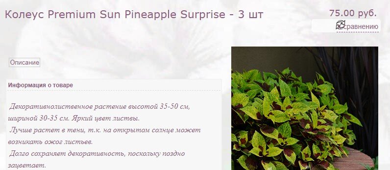 А это маленький