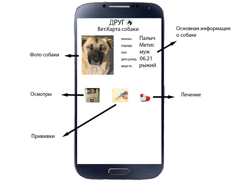 Ветеринарная карта животного