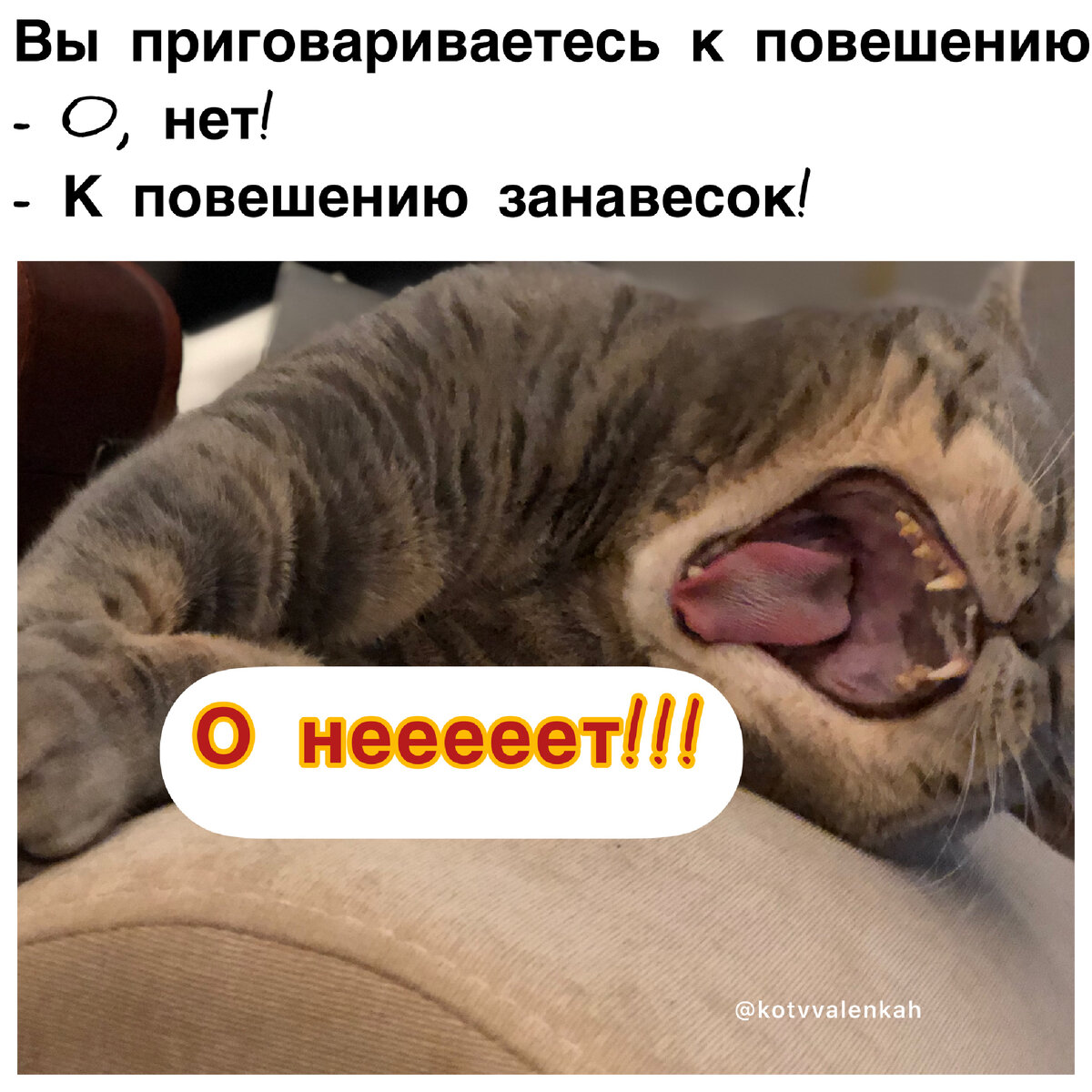 Мемы субботы, постотпускные..🙀 | Кот в валенках Марсель | Дзен