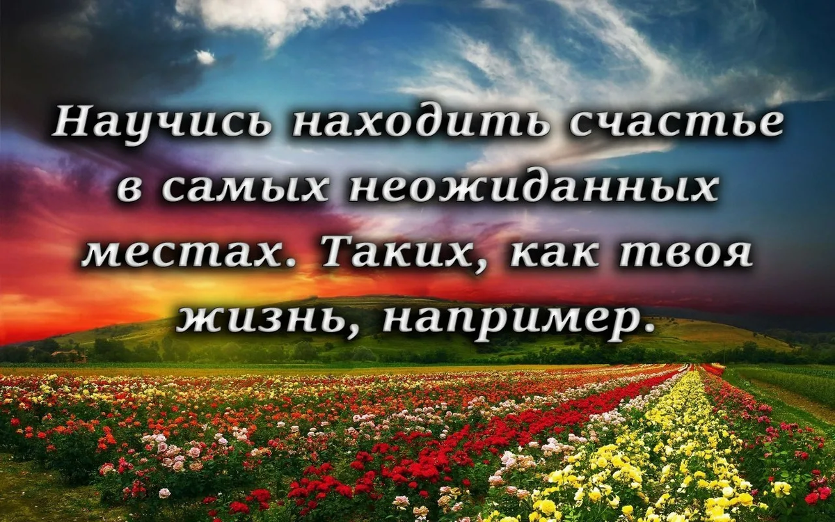 Какого человека можно назвать по-настоящему счастливым? - Цитата Уильяма  Олджера | Мудрая Тереза | Дзен