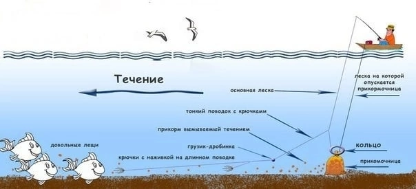 Прикормка для ловли на кольцо.