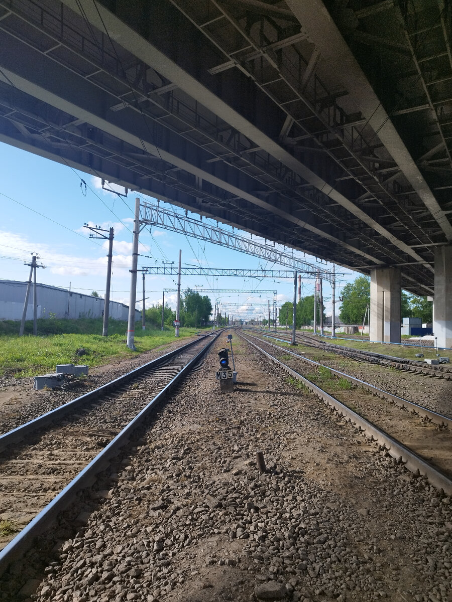 Каждый раз вспоминаю Янку Дягилеву, но не цитирую, ибо ее  мало кто помнит. 