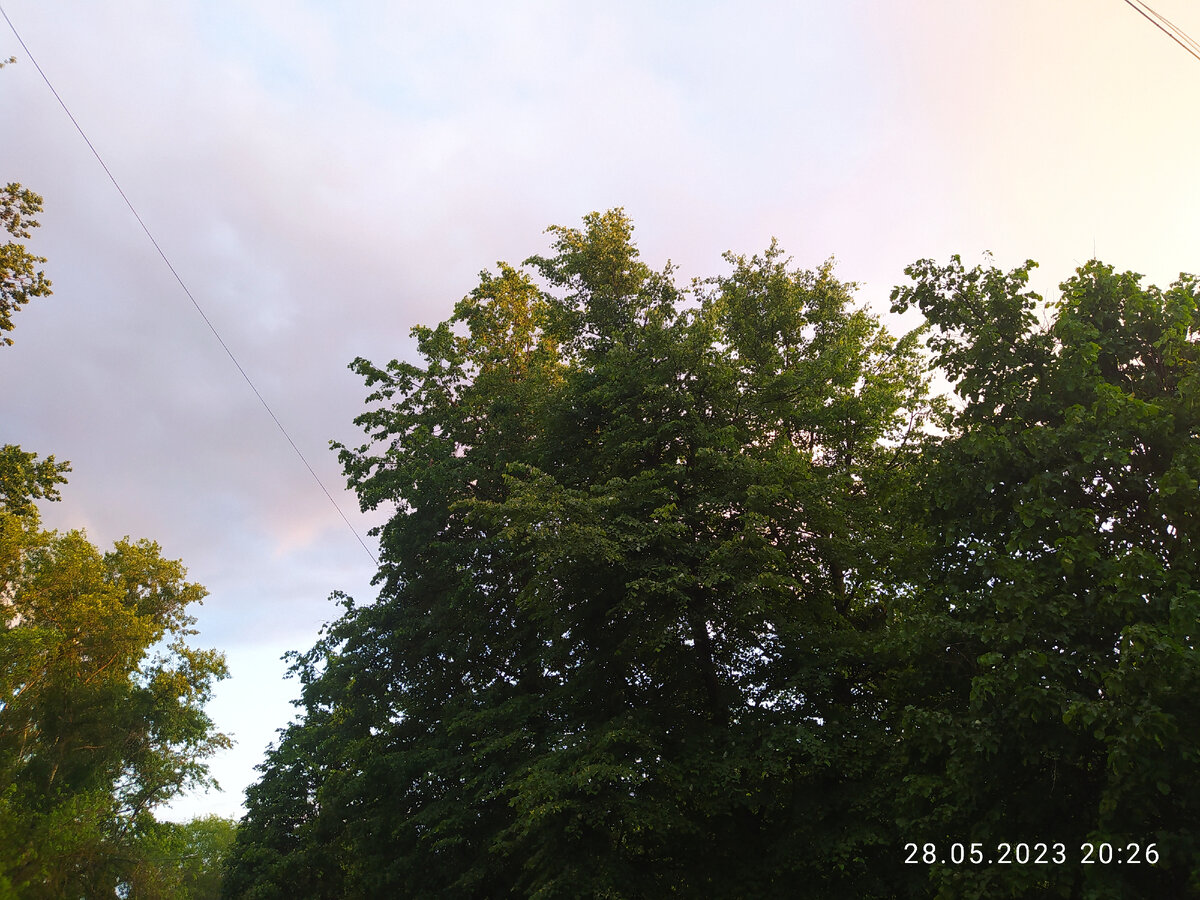 Фото автора 