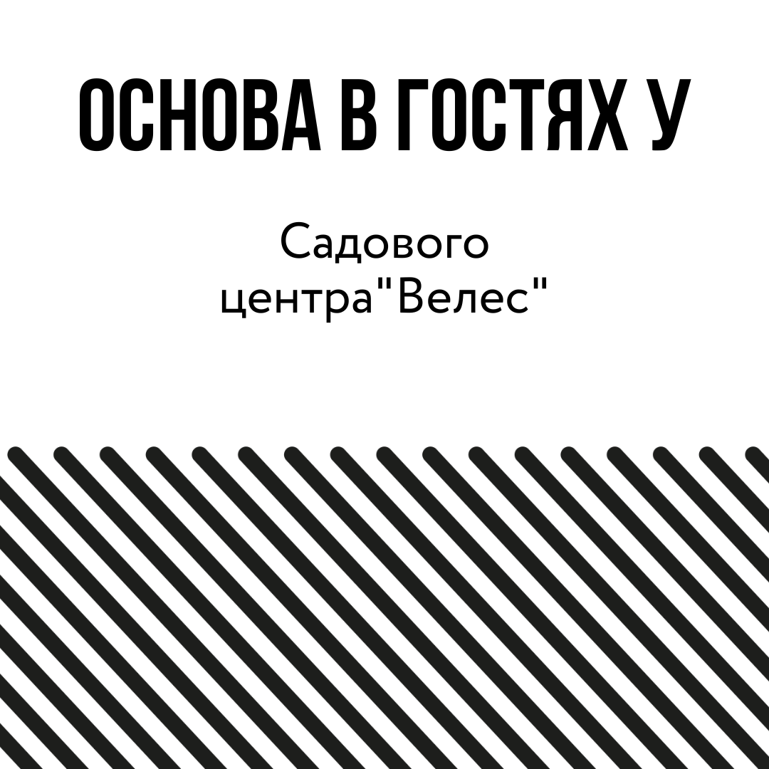 Основа в гостях у Садового центра Велес, 30 июня, Крым