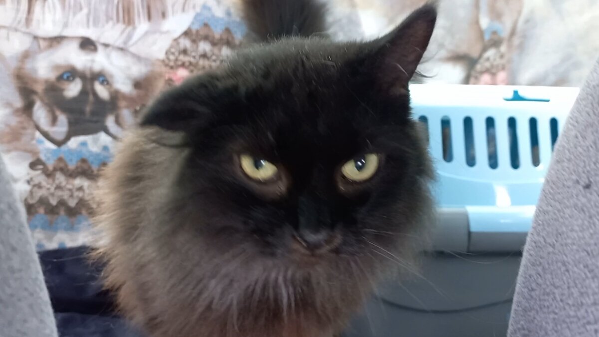 По дороге в клинику