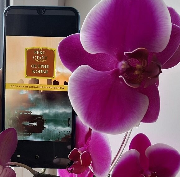 Я тоже люблю орхидеи, как Ниро Вульф. Жаль у меня их не так много...