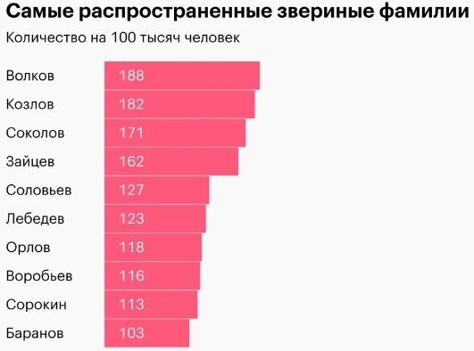 Порно актрисы и порно актёры с фото — Каталог лучших порно звёзд смотреть онлайн