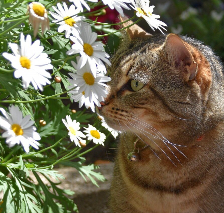 Источник: Яндекс картинки