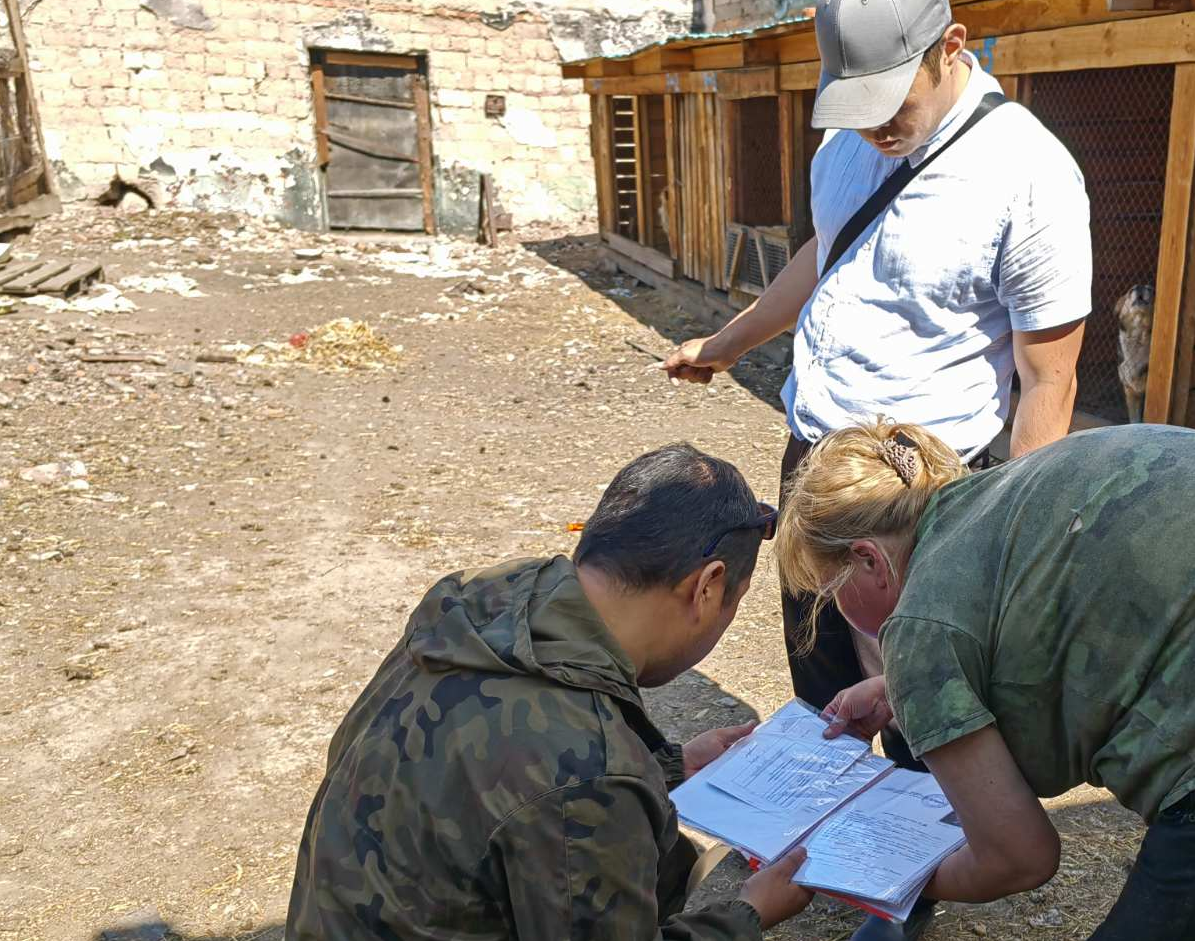 Сверяют чипы