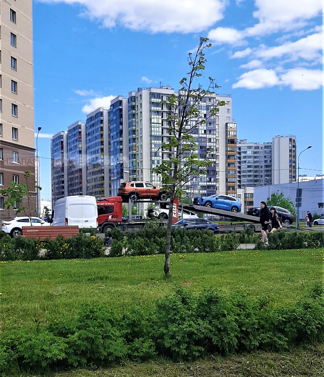 Фото автора