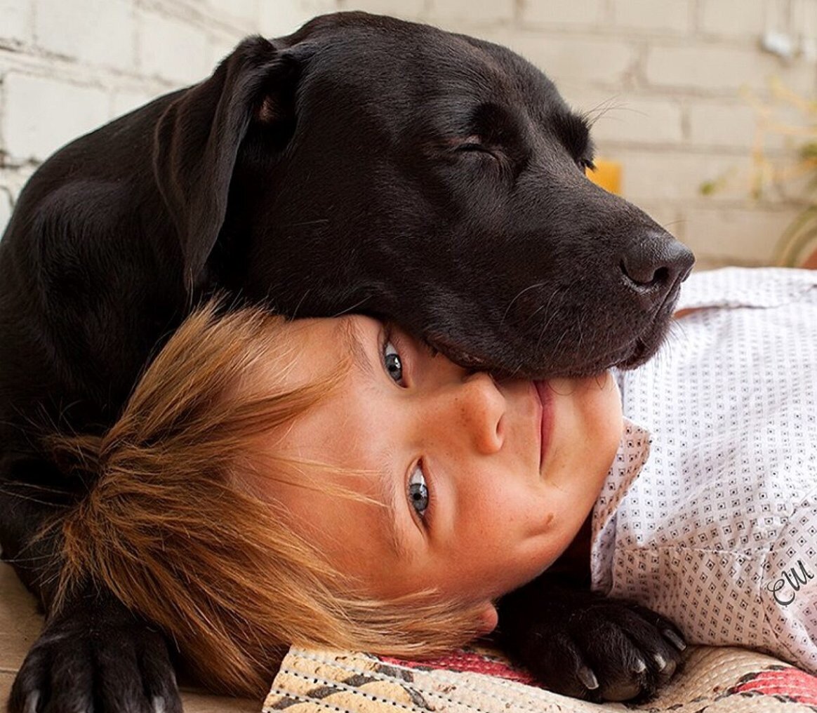 Любимая собака 1 6. Малыши черный лабрадор. Лабрадор ретривер мальчик. Добрые собаки для детей. Лабрадор и дети.