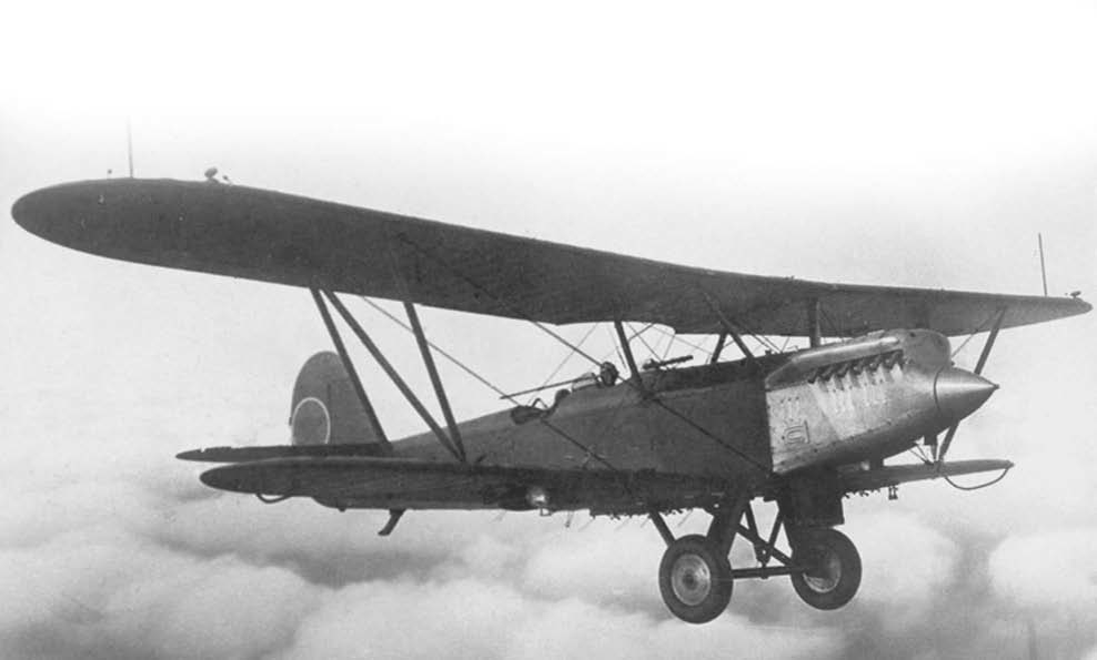 Картинка из свободных источников. Многоцелевой самолет Р-5