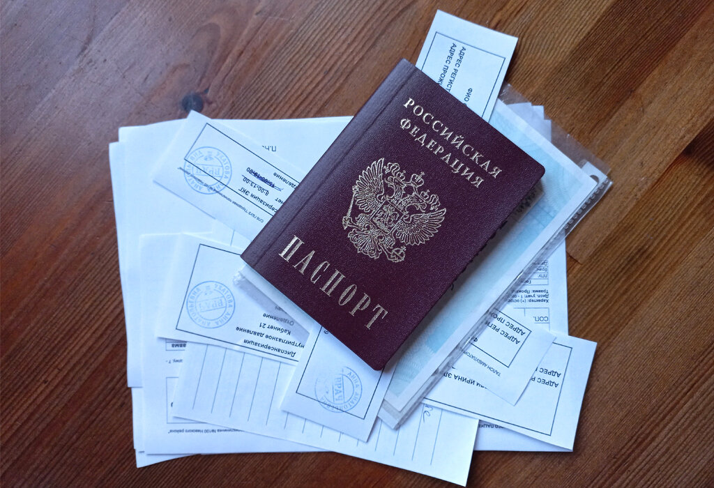 Мои направления