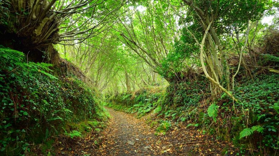    Фото: iStock