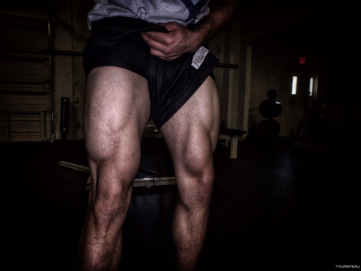 Источник фотографии: Яндекс картинки