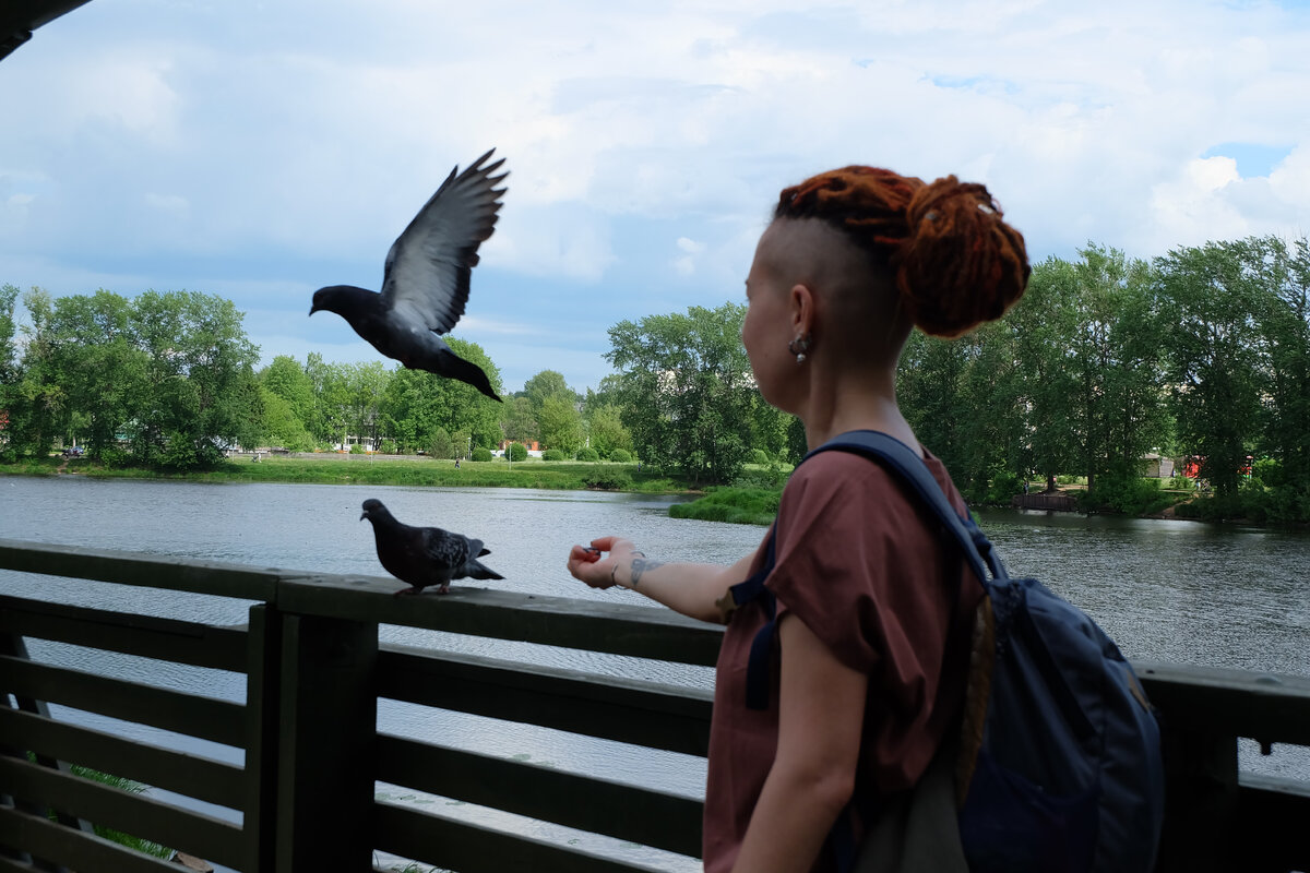 Орлы нервно завидуют их крыльям