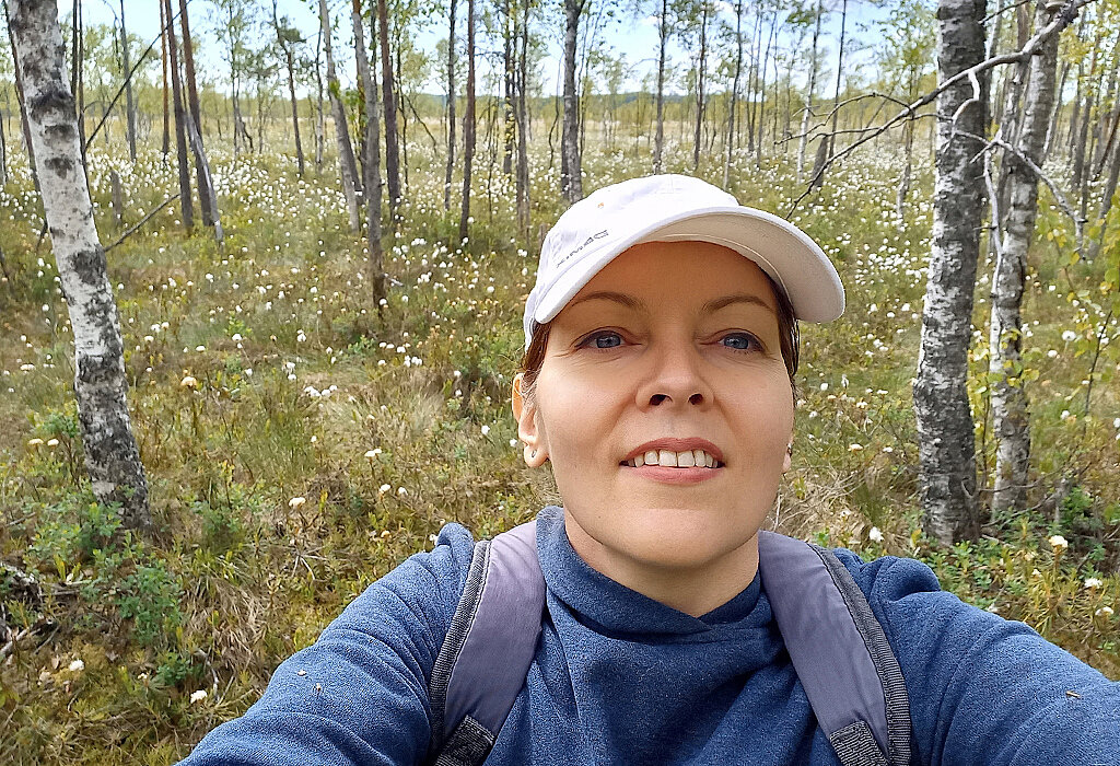 С приветом из леса