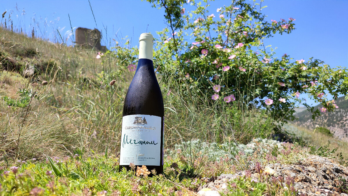 По пути к месту дегустации - под дубом в Балаклаве. На фото - крепость Чембало.