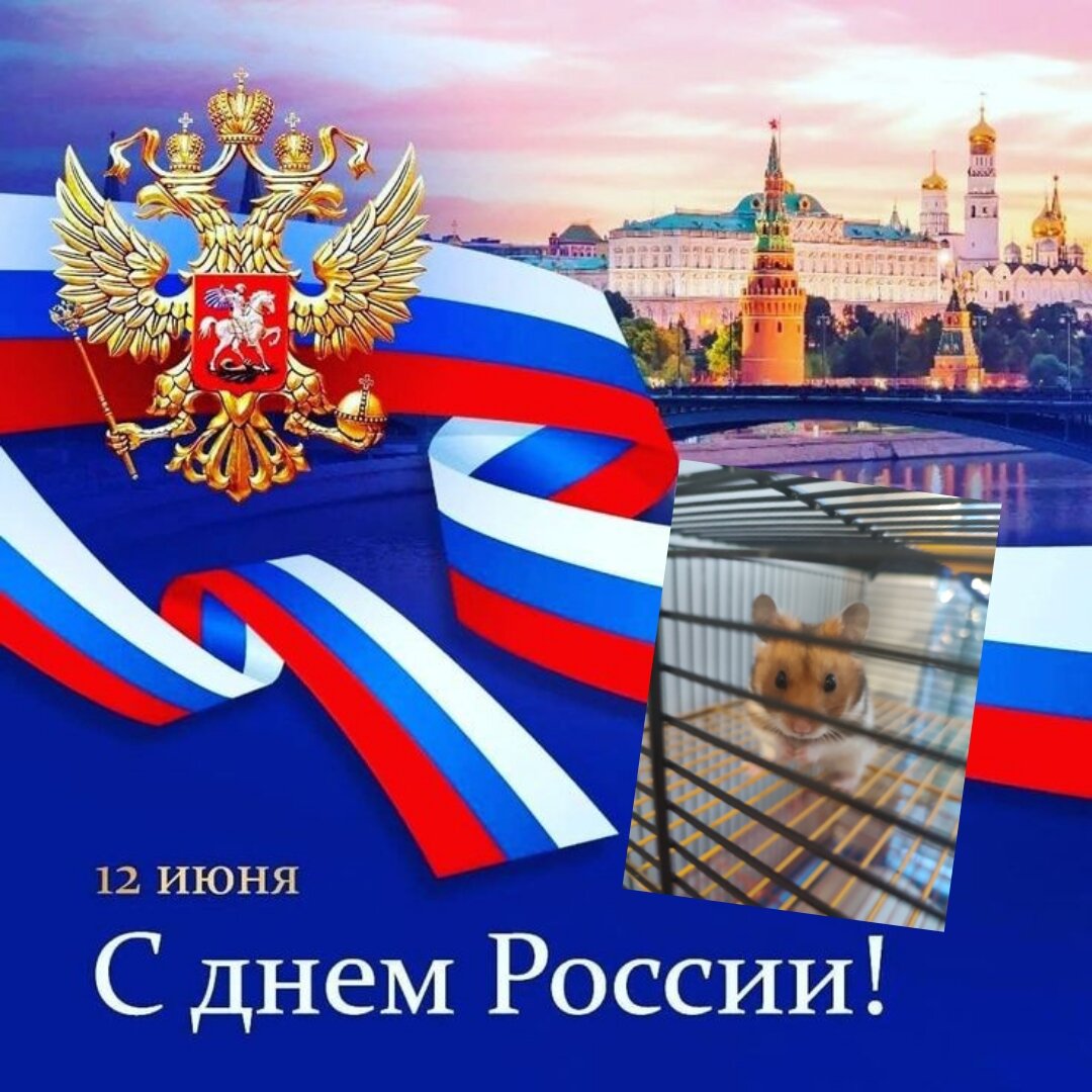 Фото автора канала 