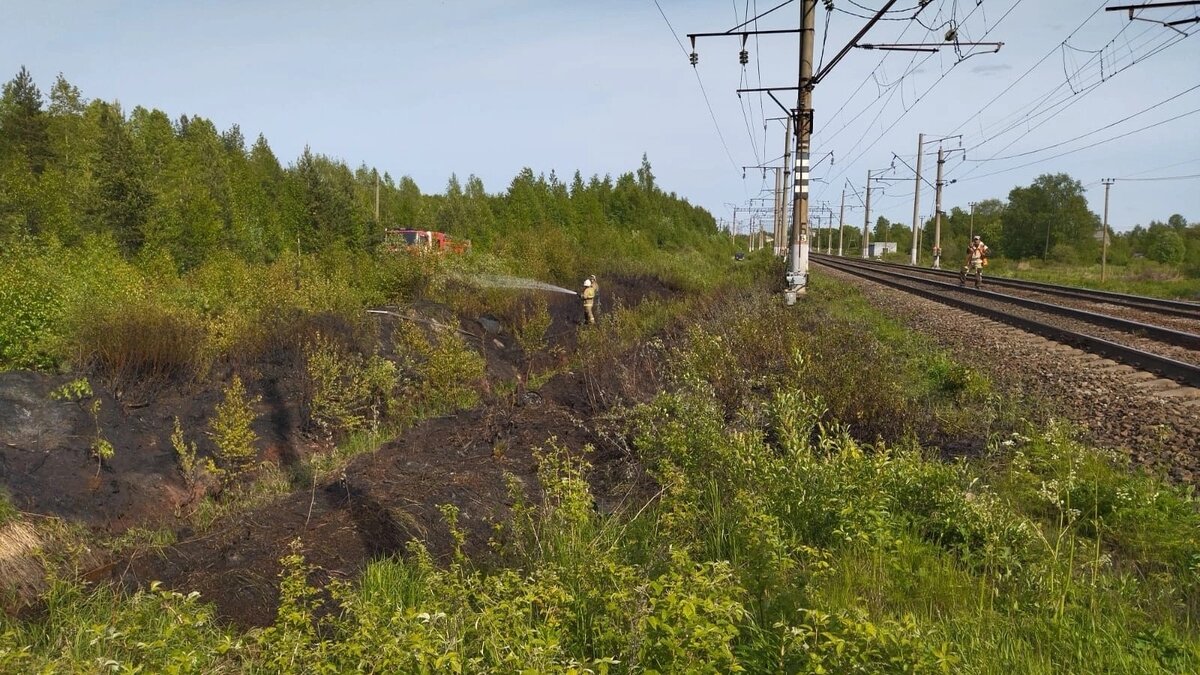     Сильное задымление наблюдалось около железнодорожных путей в районе Карелии, сообщили местные спасательные службы.