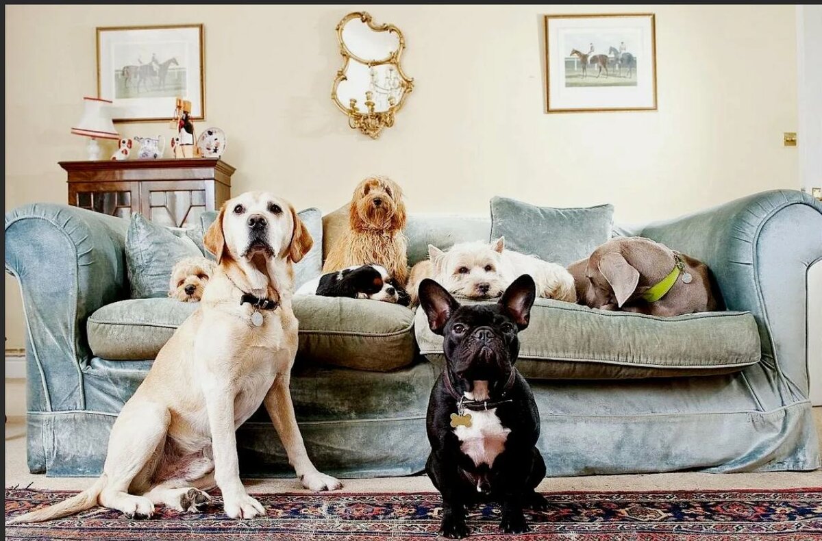 Этих милых малышей мы любим всем сердцем) а вдруг у вашего потенциального покупателя аллергия?