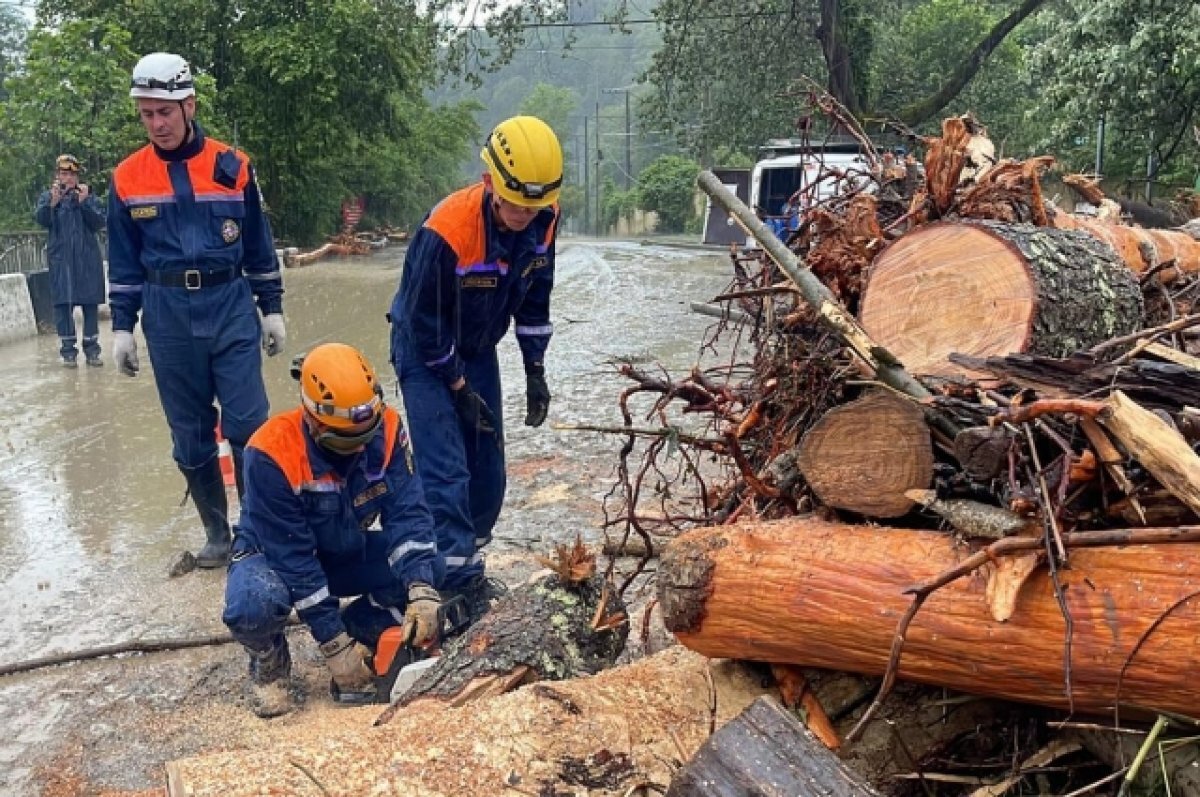    В Сочи 184 спасателя приводят в порядок территории после разгула стихии
