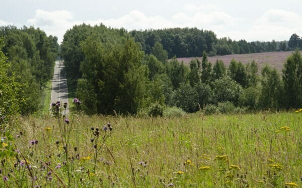    Фото: Светлана Лобова UG.RU