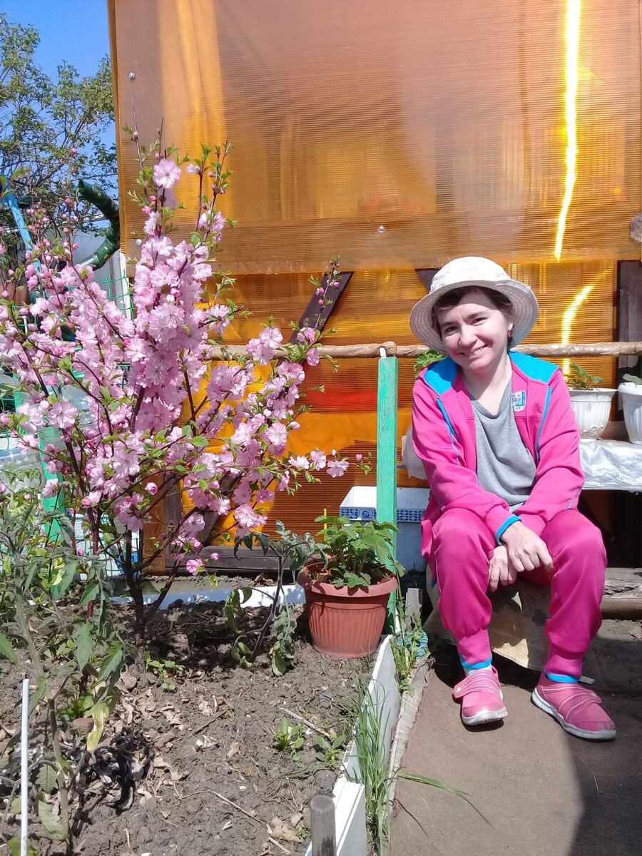 Сакура, Фото Мазутовой Ольги. Июнь 2023 год