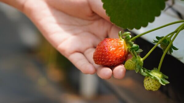    © Photo : Unsplash / Duyet Le