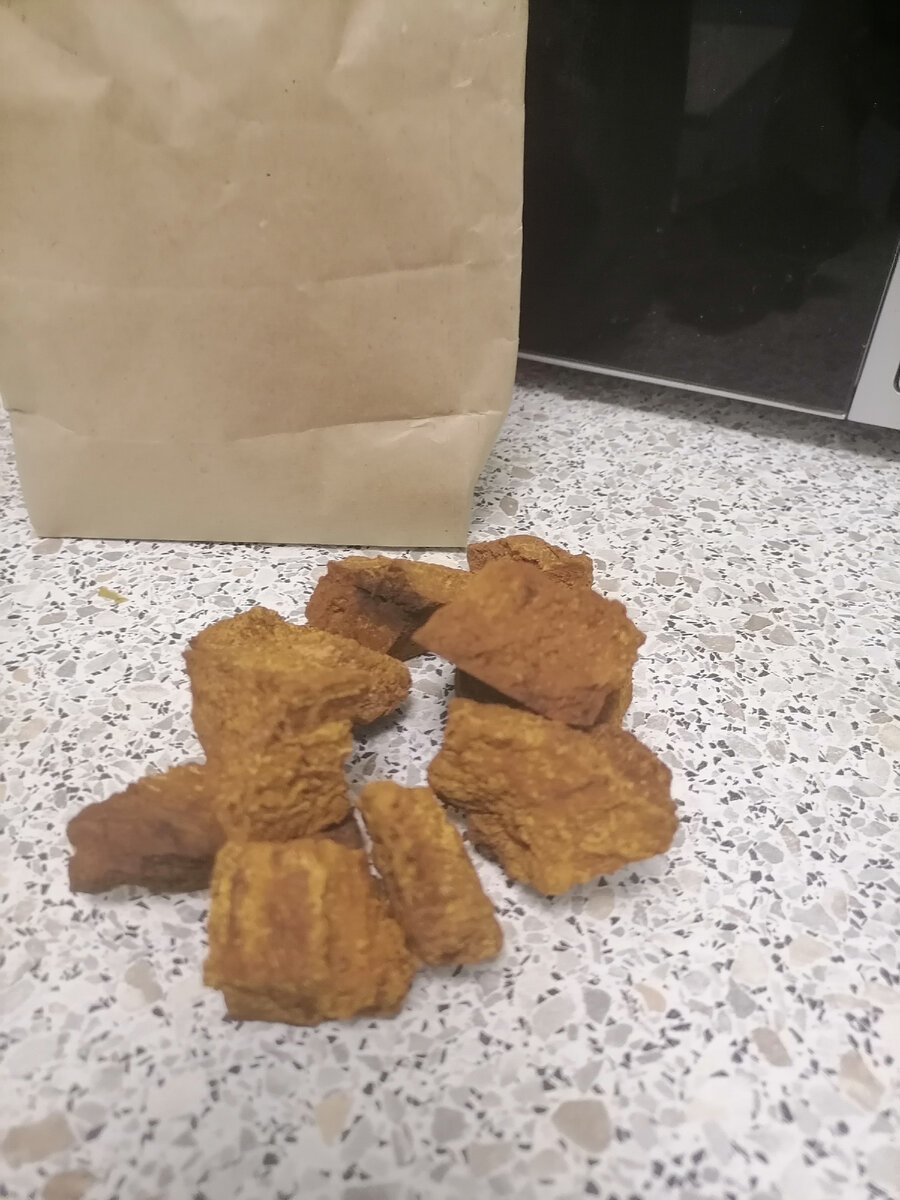 Вот такая она, кусковая березовая чага