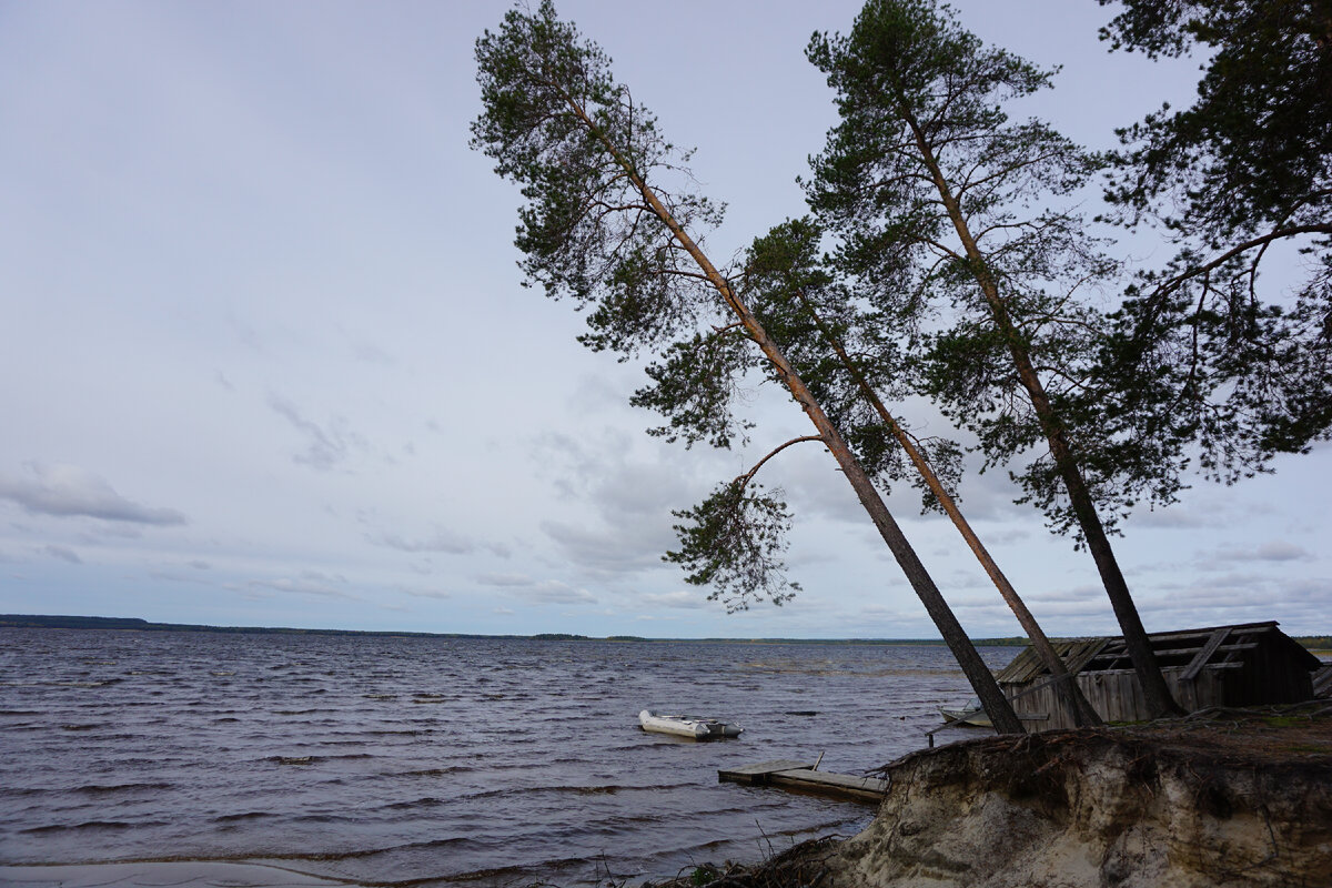 Рецепт душевного отдыха в Карелии🌲 | ТРОЕ и СУБАРУ🚙 | Дзен