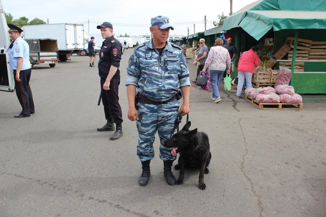    В Оренбурге на рынке «Петровский» задержаны 27 мигрантов, четверо будут депортированы Андрей Севостьянов