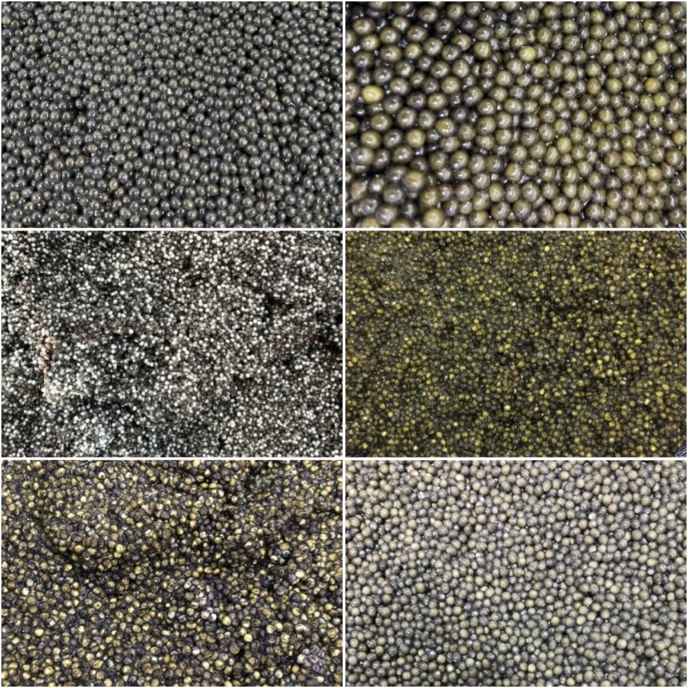 Разновидности черной икры