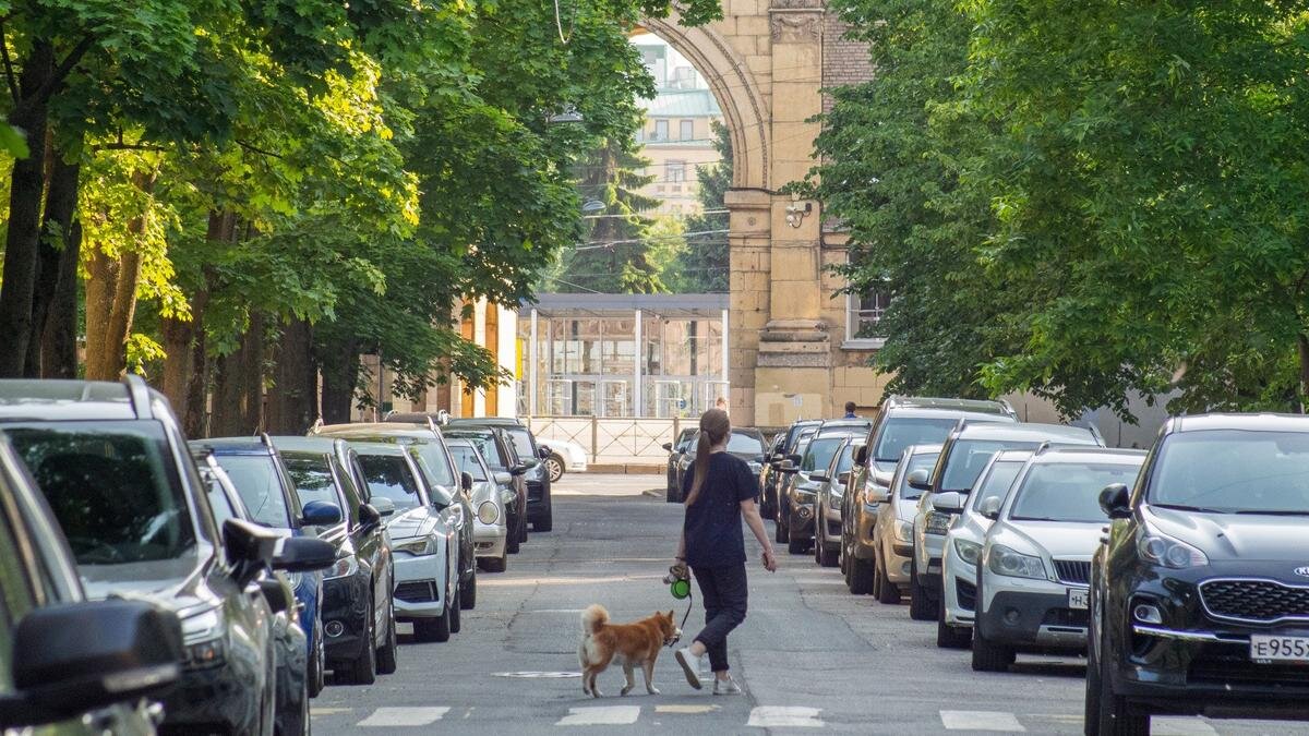 Как организуется зона платной парковки: схемы и варианты на примере  Офицерского переулка | MR7.ru - Мой район | Дзен